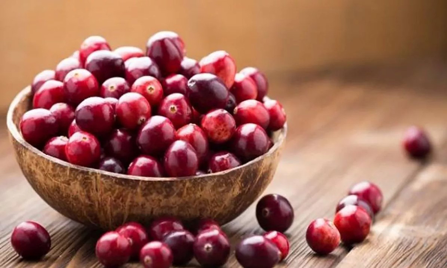 ¿QUÉ BENEFICIOS TIENE EL ARÁNDANO ROJO?